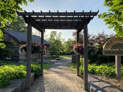 Pergola of overkapping, wat past bij jouw tuin?